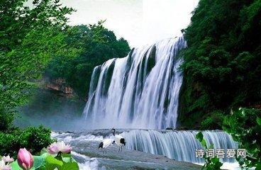 凤仙花怎么种游戏画面