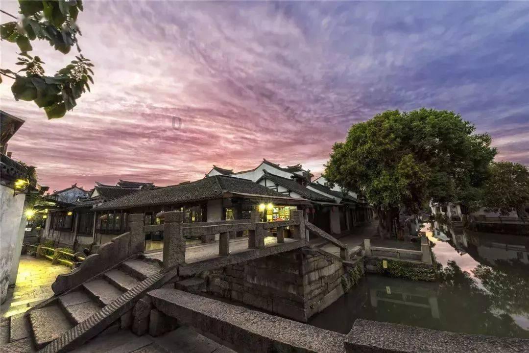 凤仙花怎么种游戏画面